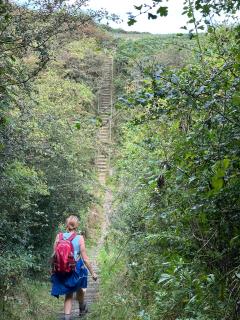 And now the upping and downing starts - crossing Crimdon Dene - 'dene' = a deep narrow wooded valley of a small river